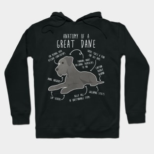 Blue Great Dane Dog Anatomy Hoodie